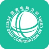 网上国网 电力app