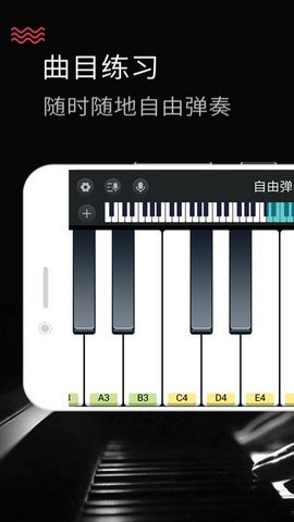 模拟钢琴安卓版截图3