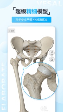 维萨里3D解剖破解版截图3