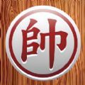 中国象棋棋逢对手安卓版