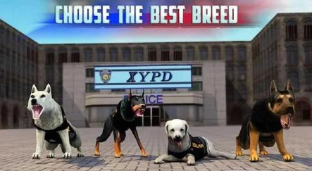 模拟警犬训练经典版截图1