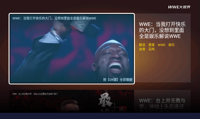 wwe大视界中文版截图3