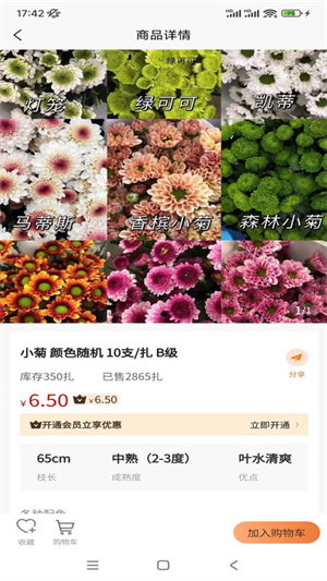 卖花人去广告版截图1