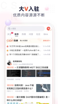 CSDN中文版截图2