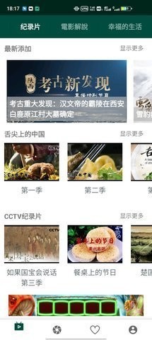 LinLi追剧中文版截图2