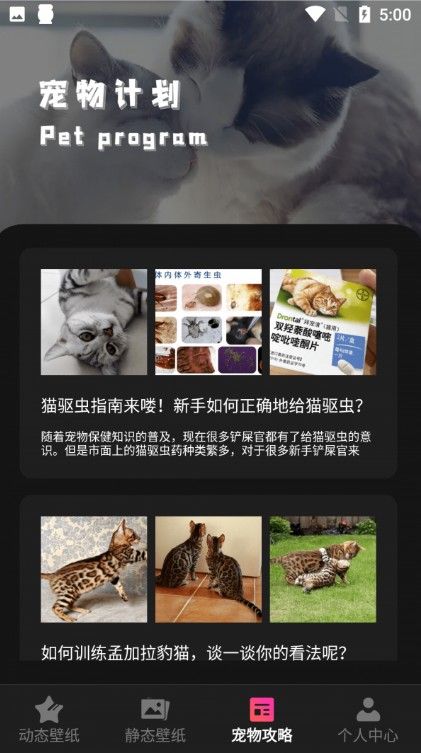 猫咪壁纸极速版截图3