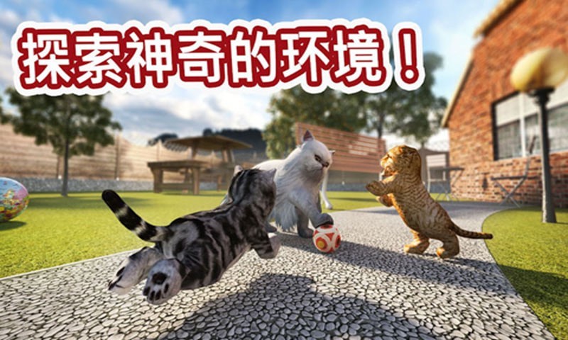 迷你小猫城市生存免费版截图2