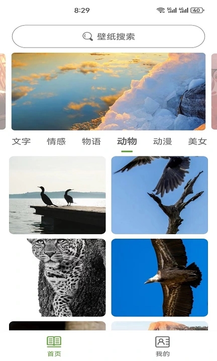 白叶壁纸免费版截图1