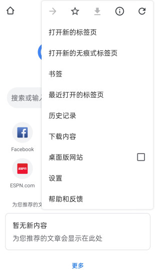 google浏览器精简版截图2