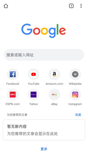 google浏览器精简版截图1